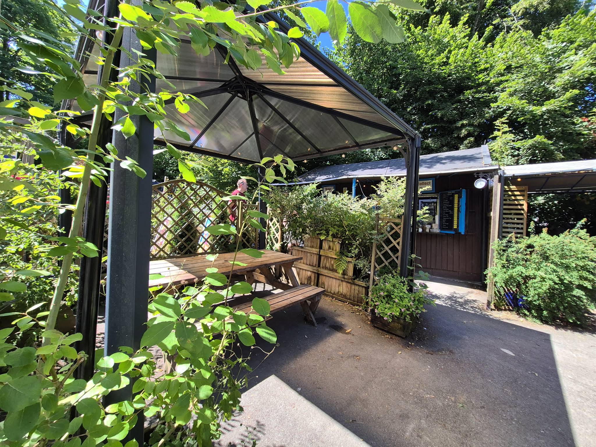Dan’s Shack’s leafy outdoor seating area, with picnic benches and the wooden service counter